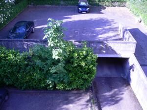 Place de parking privative sécurisée.