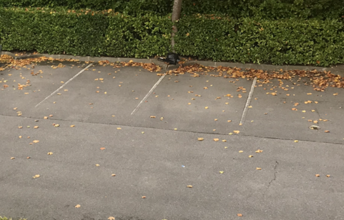 Parking - Herblay / Beauchamp