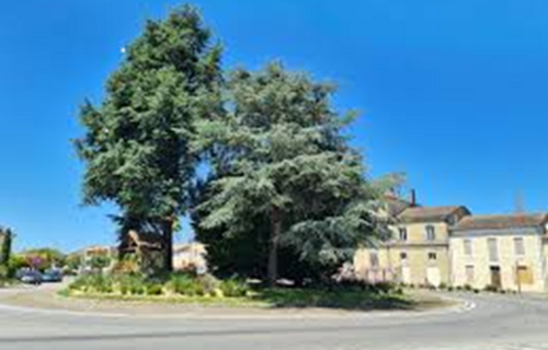 GARAGE / GARDE MEUBLE