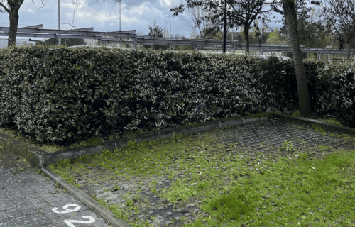 Place parking sécurisée Floirac Souys – proche Arkéa Arena à pied